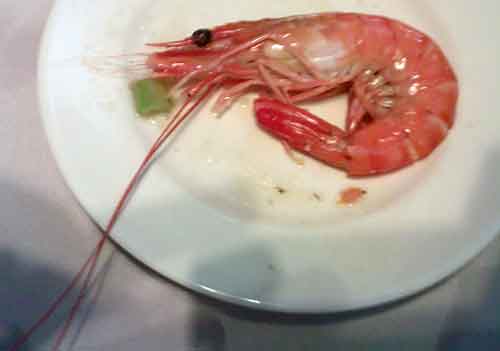 Nice prawn Nice prawn