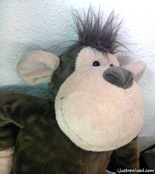 Wynn the monkey smiling at you Wynn the monkey smiling at you